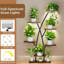Plant Stand