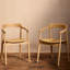 Mid-Century Modern Shell Dining Chairs-1103396035