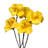 Esquina Hibiscus Arrangement-2026598838