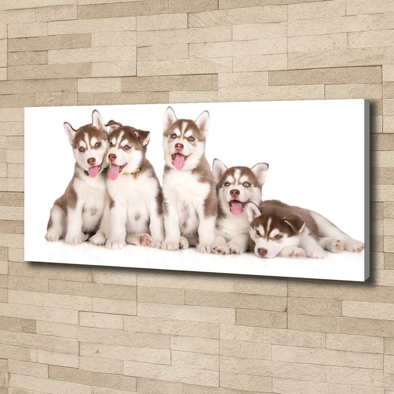 Husky Puppies - No Frame Print on Glass, Canvas, 50cm H x 125cm W x 2cm D
