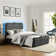 Queneisha Upholstered Storage Bed