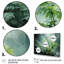 " Ferns Romantic Impression III "-1944326389-1944326380