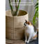 Plante artificielle minimaliste moderne avec branches réglables et pot à fleurs en rotin