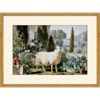 Martha Stewart Bedford, art mural en papier, moutons de race, 29,75 po x 21,75 po, décor de salon et de chambre à coucher, encadré