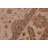 Shoko Wool Oriental Indoor Rug