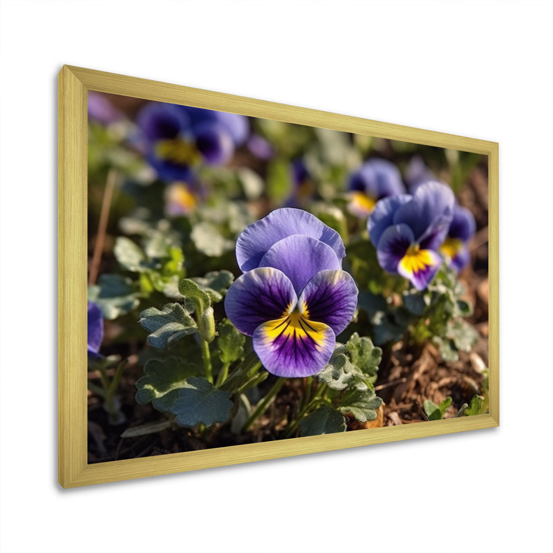 «Purple Yellow Pansies Harmony I» sur toile, 30" H x 40" W, Black Picture Framed