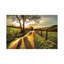 Homeward Bound par Mark Gemmell - impression-76169993-76169998-76170224