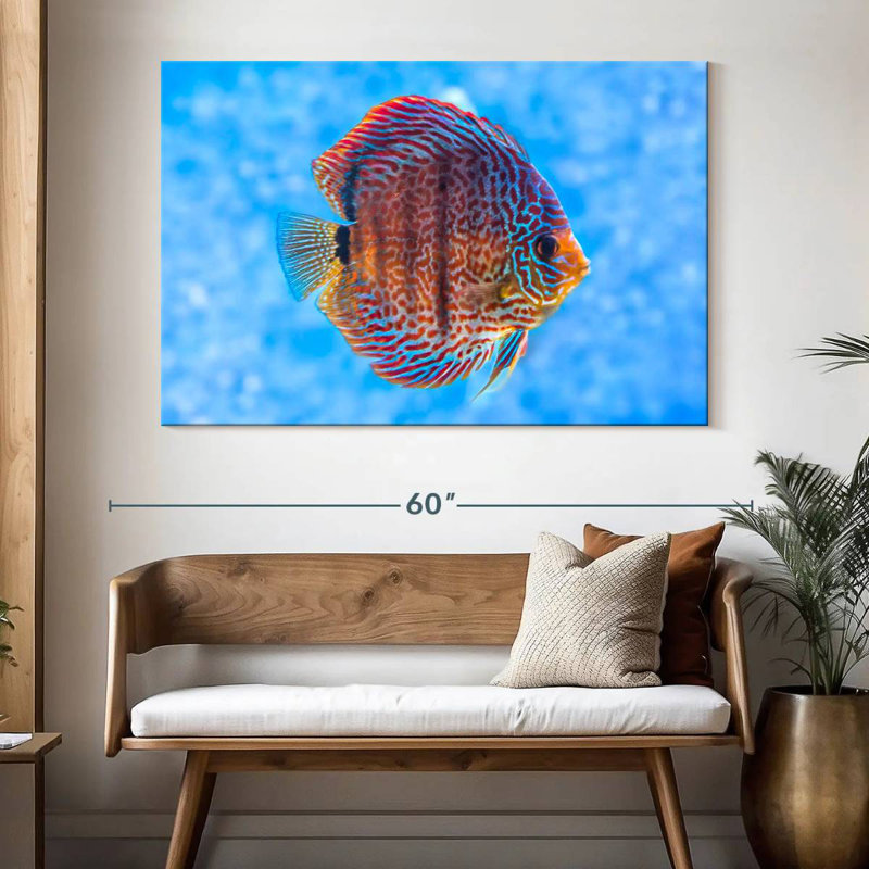 Brampt Freshwater Discus Fish, 34" H x 51" W