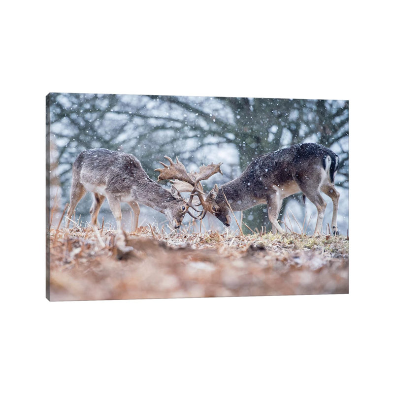 Warm Up Bout by Max Ellis - Wrapped Canvas Print, 20.32 cm H x 30.48 cm W