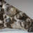 Genuine Natural Fossilized Ammonite Cluster (11 Lbs)