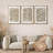 Simple Rustic Botanical Floral Vintage Wildflower Pictures Framed On Canvas 3 Pieces Print Wall Art-91874992-91874993