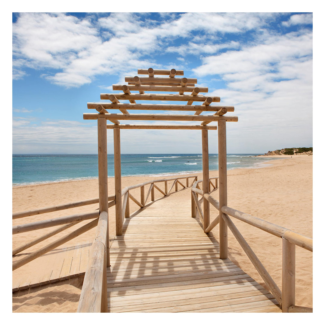 Beach Path to the Sea in Andalusia 3.36m x 3.36m Textured Matt Peel & Stick Wall Mural
