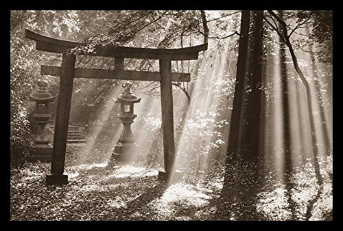 «Torii Shrine Japon à la lumière du soleil», reproduction encadrée