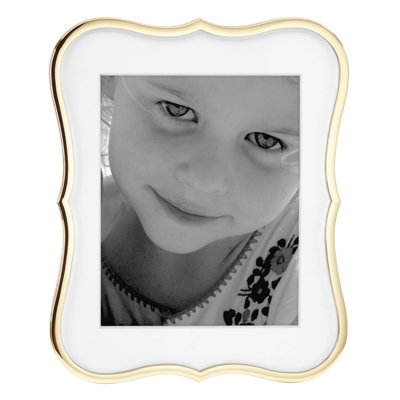 Crown Point™ Metal Picture Frame with Mat