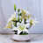 Blanc/vert