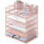 Rose est en rupture de stock