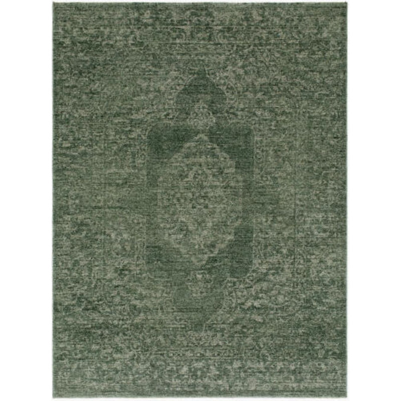 Cyrus Machine Woven Indoor Area Rug, Rectangle 6'7" x 9'