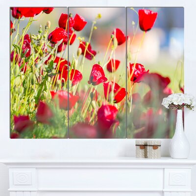 Beautiful Red Poppy Flowers View' 3 Piece Photographic Print on Wrapped Canvas Set -  Design Art, PT12620-3P