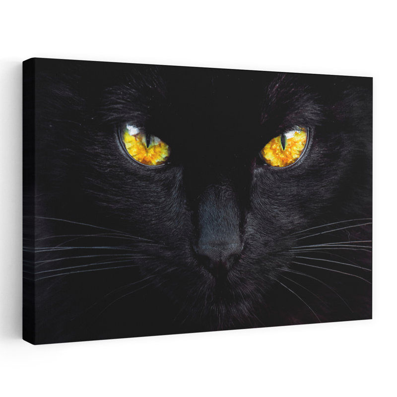 Art contemporain, art contemporain pour chat, H 16 po x l 24 po