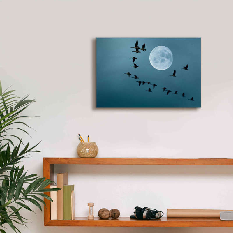 Epic Graffiti 'Fly Away' By Ata Alishahi, Giclee C " Fly Away " by Ata Alishahi