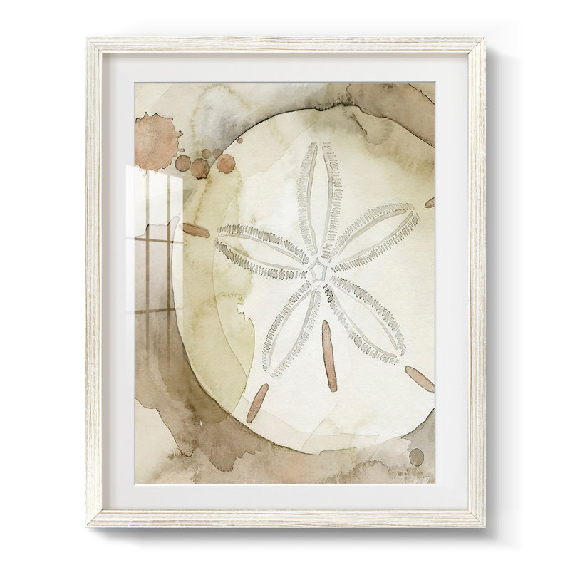Dry Sand Dollar II - impression encadrée, H 28,5 po x l 20,5 po, White