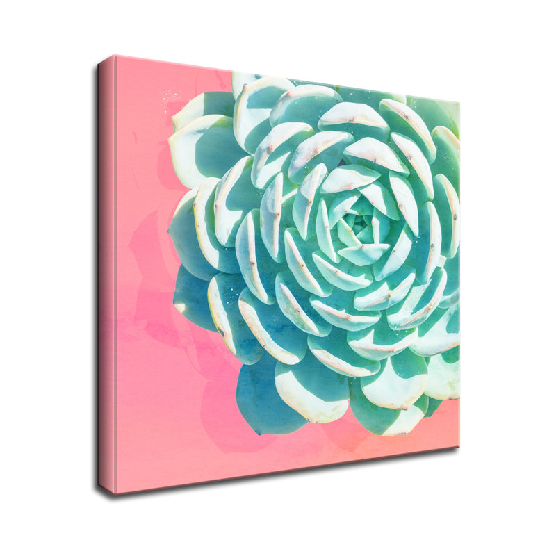 « réveil ii », impression sur toile succulent, H 10 po x l 10 po x P 1,5 po, Toile tendue