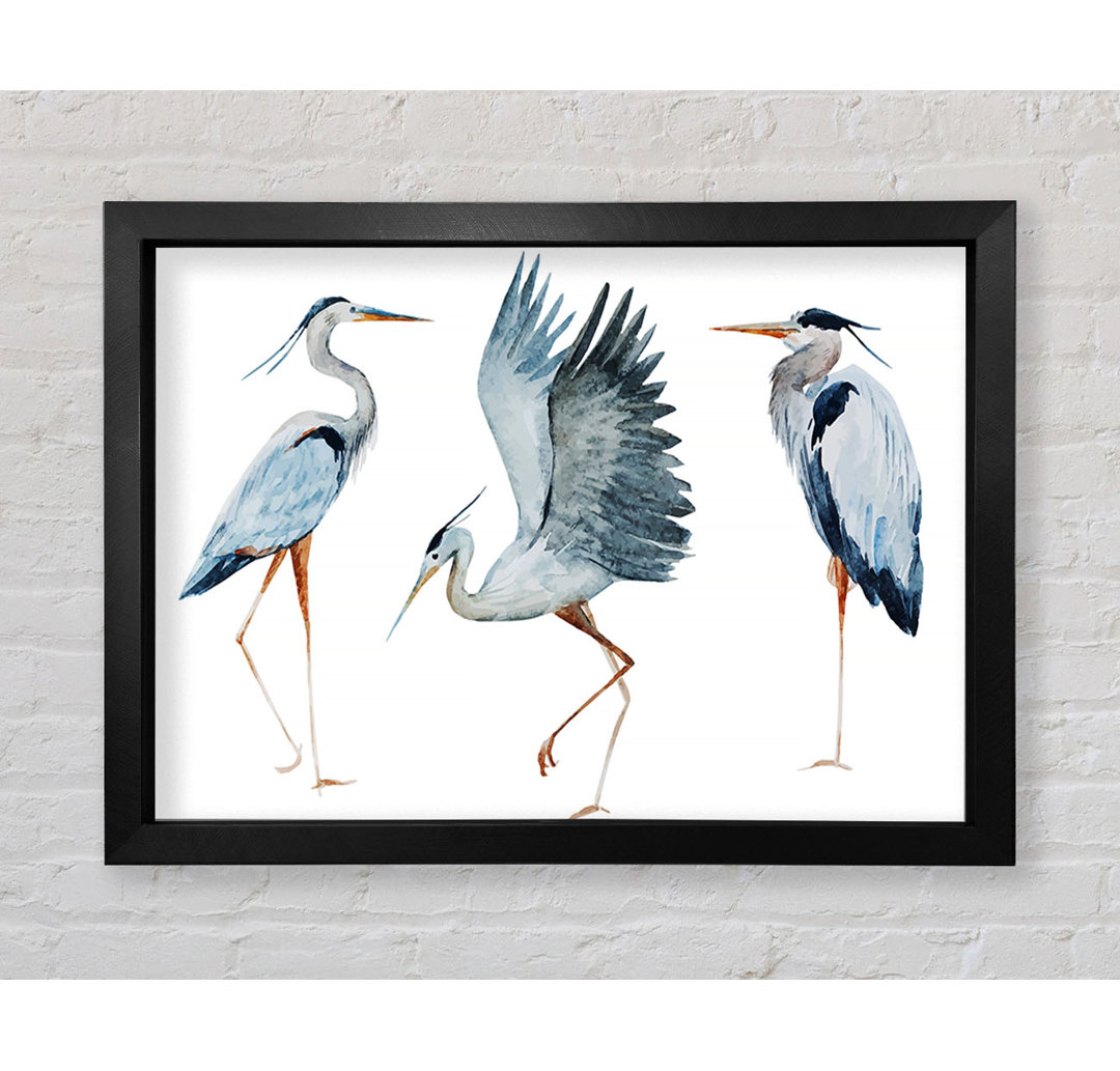 Heron Trio Gerahmter Druck Wandkunst