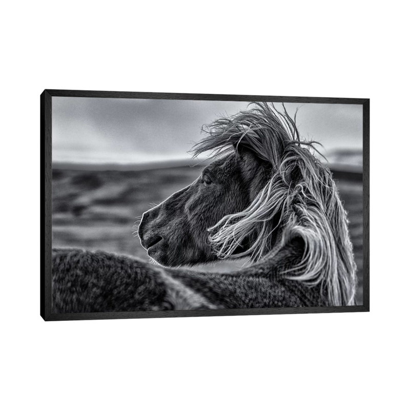 Glance Back by Sunny Ding - Print on Canvas, 45.72cm H x 66.04cm W x 3.81cm D, Black Floater Framed