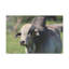 No Frame Print on Canvas-1396428859