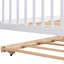Lit en bois avec lit gigogne simple-466168142-402655806
