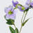 Audet Silk Decorative Artificial Christmas Rose(Pack of 1 Branch)-832295588