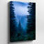 Toile «A Dense Misty Forest Scene Captured At Twilight» mettant en vedette un art mural imposant, arbres à feuilles persistantes avec différentes nuances de vert profond-1240041219