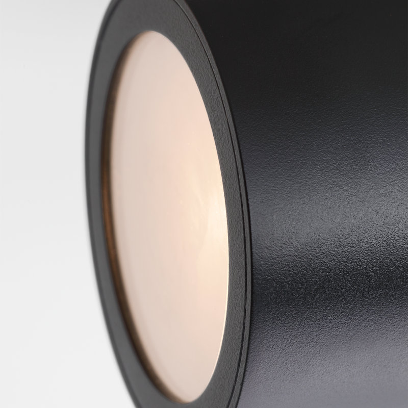 Sean Lavin Pressa 2-light outdoor round extra large wall sconce light in natural brass finish, Black