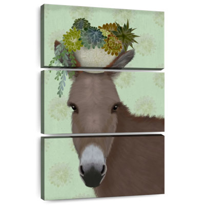 Brampt Donkey Succulent