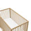 Teddi 5-in-1 Convertible Crib with Storage-111845994-71801591