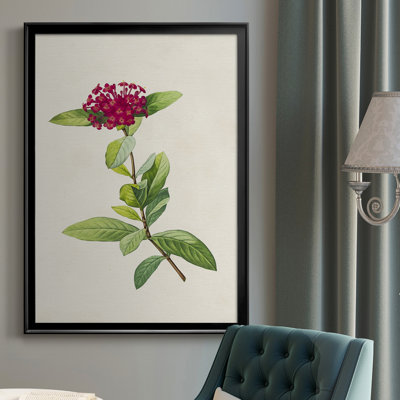 «Pretty Pink Botanicals II», toile encadrée de qualité supérieure - prête à être accrochée