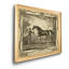 Distinguished Horses IV - reproduction d'art sur toile encadrée-1946686342-1946686336