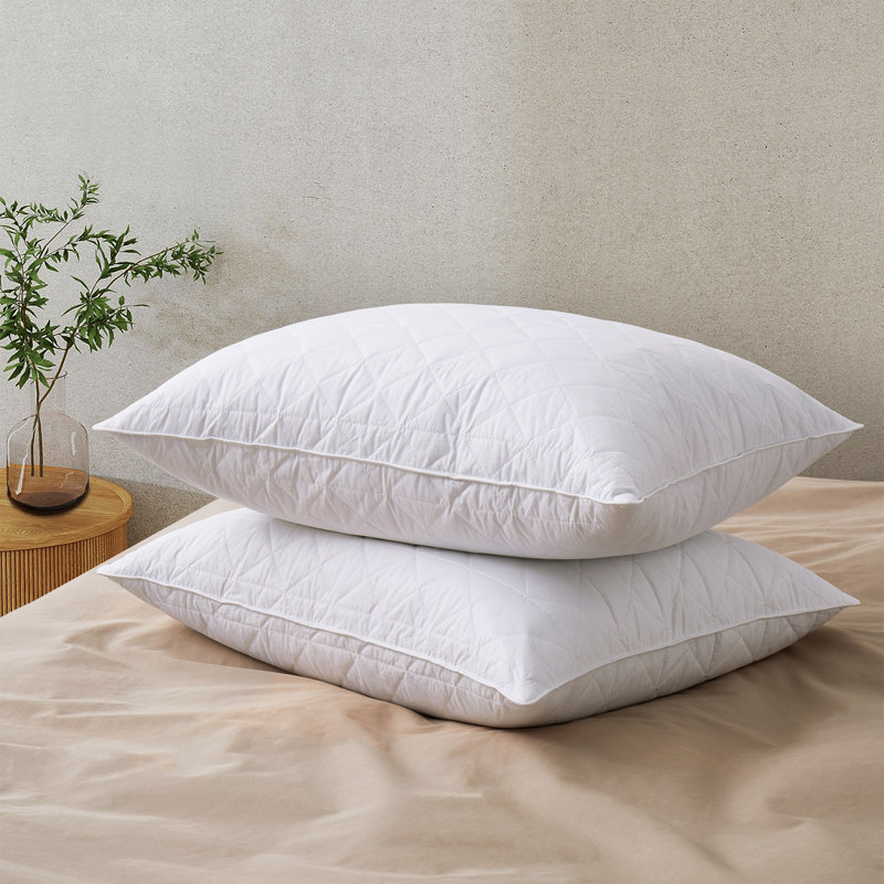 Oreillers gris en plumes d'oie, Standard