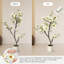 120cm Plant