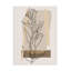 Art mural sur toile Winston Porter Regina Moore Modern Botanical II WAG37829-1004266026
