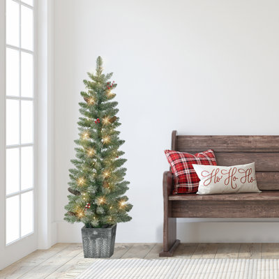 Haakon Lighted Pine Christmas Tree