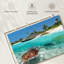 Tortue des Caraïbes-107699355