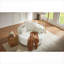 Fauteuil d'appoint pivotant à 360 ° en chenille beige, assise confortable pour les espaces de vie modernes et les chambres à coucher-1522026414