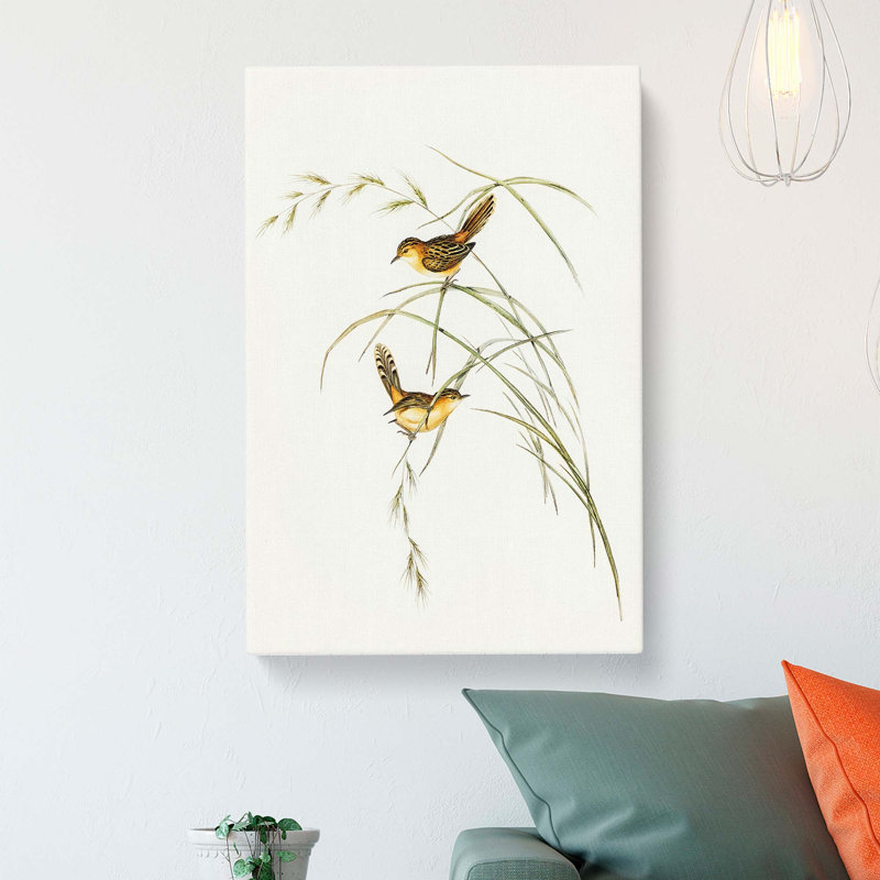 Exile Warbler by Elizabeth Gould - Wrapped Canvas Painting, 60cm H x 40cm W x 3cm D