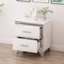 Table de chevet élégante pour chambre à coucher avec 2 tiroirs, surface brillante, table de chevet de couleur blanche, finition blanche