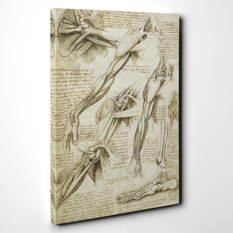 Leonardo Da Vinci - Wrapped Canvas Painting, 100cm H x 70cm W