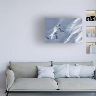 Bolog Uschi Hermann Snow Canvas Art