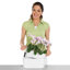 Delta Premium Window Box Planter-16493129-16493130