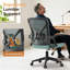 Office Chair-754640863