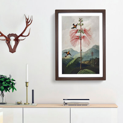 Flowering Plant and Birds by R.J. Thornton - Framed Print